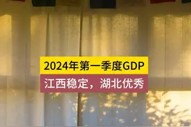 2024年第一季度GDP，江西稳定，湖北优秀 #河南 #湖北 #江西视频封面