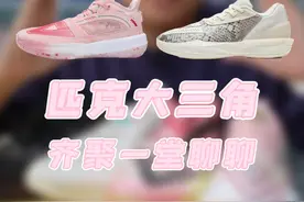 匹克大三角齐聚一堂 聊聊他们 “高开低走”应该是对这个系列最好的形容了！1代澎湃的如日中天，2代的全版本无人问津，3代顶着的巨大压力，匹克你是不是应该反思下，这么好的牌怎么打成这样？！#好鞋推荐 #篮球鞋 #鞋狗的日常 #性价比极高的实战好鞋推荐 #实战球鞋推荐视频封面
