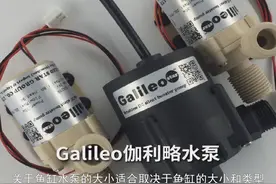 鱼缸水泵用多大的合适 鱼缸水泵用多大的合适视频封面