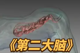作为人体“第二大脑”的肠道究竟有多神奇视频封面