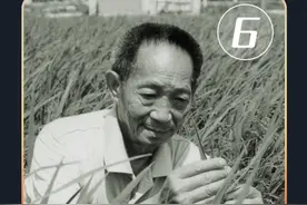 袁隆平大结局！伟大的粮食大师！功勋！ #功勋袁隆平 #袁隆平视频封面