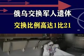 俄乌交换阵亡军人遗体，909具对43具，损失悬殊体现双方战力 #抖音热评视频封面