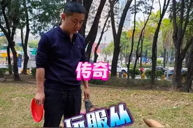 马犬服从性天花板！动作敏捷，精准执行，全程零失误 #训犬师阿金 #马犬魅力 #高动力马犬 #这狗成精了 #不养狗不知道养狗的乐趣 @金哥乡村宠物服务中心视频封面