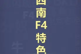 十万个名场面之：西南F4特色美食#西南F4#美食#抽象视频封面