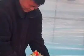 3月4日（采访），河南商丘，草莓园老板：一筐30元随便放，小伙一点点堆叠装了9.9斤，当事人：草莓园老板特吃惊，他说都这样整草莓要提前收园了视频封面