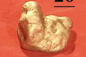 黄金缉私队名场面，狐假虎威的“走私县长”和被黄金强奸的男人们 #陕普解说