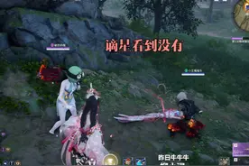 森林冰火人阵容：“唐没边”和“懒得喷”的伤害大比拼！视频封面