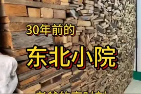 东北小院-老爸的高光时刻！！！ #东北 #东北农村生活vlog #东北农村生活 #高光时刻 #匠心制作视频封面