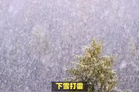 民间传统文化中，下雪打雷，代表什么预兆？ #传统文化 #知识视频封面