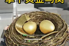 黄金鸟窝协议箱位置！最简单最安全！ #三角洲行动