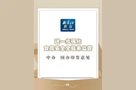 新华社消息｜进一步强化食品安全全链条监管 中办、国办印发意见视频封面