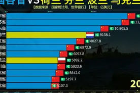 中国各省VS荷兰芬兰波兰乌克兰GDP对比，差距越拉越大！ #芬兰视频封面