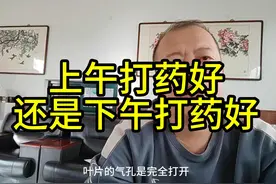 打药的时间段怎么选?今天我来告诉你#打药 #农业知识 #三农视频封面