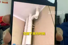 #湖北武汉 女子新房卫生间管道传来咚咚声，物业排查多次无果，专家：裸露管道产生同频共振（下集）#湖北dou知道视频封面