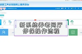 社保申报：新系统养老网厅停保操作流程#社保 #五险一金视频封面