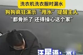 洗衣机漏水，狗狗疯狂演示提醒主人。#狗狗成精视频封面