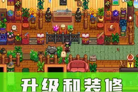 【星露谷物语】房屋升级和装修 #星露谷物语