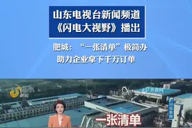 山东电视台新闻频道《闪电大视野》播出丨肥城：“一张清单”极简办 助力企业拿下千万订单视频封面
