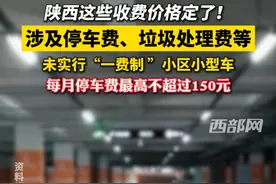 陕西这些收费价格定了！涉及停车费、垃圾处理费等，未实行“一费制 ”小区小型车每月停车费最高不超过150元#陕西 #停车费视频封面