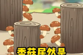 香菇居然是吓出来的 #有趣的知识又增长了 #三农小知识视频封面