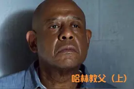 哈林教父 黑老大入狱十年 出狱后已发生翻天覆地的变化#影视解说视频封面