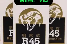 路亚神饵盘点第十一期：大河奔流响尾蛇VIB。 #大河奔流 #响尾蛇VIB #超级响尾蛇 #小蛇VIB视频封面