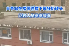 一大爷站在楼顶往楼下疯狂扔砖头。最终民警将其劝下#大爷永远是大爷 #大爷视频封面