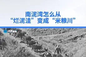 3年时间，359旅开垦了26.1万亩土地，1944年收获粮食37000石，“烂泥湾”变成了“米粮川”#从延安到红旗渠视频封面