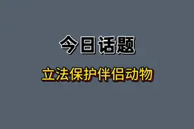 立法保护伴侣动物 #热点 #热点新闻事件 #立法保护伴侣动物视频封面