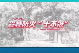 【🔥森林防火十不准！这些红线千万别碰】 🌲林区内禁止：携带火种、烧火取暖、吸烟点火照明、上香烧纸燃放烟花爆竹、炼山烧荒、小孩玩火、乱扔烟头、狩猎放火，不准让老幼病残参与灭火视频封面