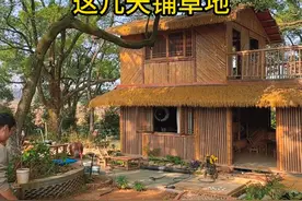 农村小院改造，这几把院子里的草地和简易围墙做好了，现在整体看起来舒服多了之前到处是泥巴#小院改造 #田园生活乡村小院 #农村庭院花园自己打造视频封面