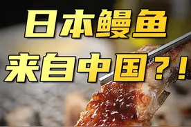 中国鳗鱼养殖量全球第一！我们有多会养鳗鱼，“中国鳗谷”找答案～#福建视频封面