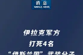 新华社消息｜伊拉克军方打死4名“伊斯兰国”武装分子 视频封面
