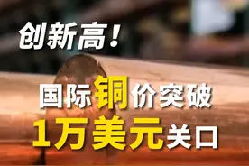 涨价！创新高！#国际铜价突破1万美元关口  #美国关税政策扰动铜价铝价视频封面