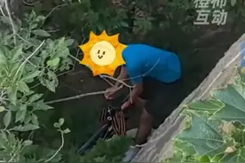 i人连喊救命都需要勇气，#你好我有一个命需要救 近日，山东烟台，大学生户外骑行不慎摔下山沟，求助时礼貌喊“你好”。路人：还以为有人在唠嗑。消防员哭笑不得：喊救命才好使视频封面