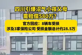 四川引爆沼气小孩父母需赔偿580万？官方回应：8辆车受损，涉及3家保险公司，受损金额总计约28.5万视频封面