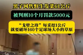 男子网售野生发菜61公斤，被判刑10个月罚款5000元，“戈壁之珍”每采挖1公斤就要破坏160个足球场大小的草原视频封面
