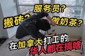加拿大打工的华人都在搞啥？搬砖的工资比我坐办公室还高？？视频封面