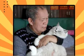 这才是猫咖店真正的意义吧！ #猫咖 #流浪猫 #温暖视频封面