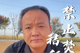 关于今年是否可以焚烧秸秆。根据目前现有的政策，不允许焚烧秸秆 #焚烧秸秆 #玉米秸秆 #村干部 #三农 #农民视频封面