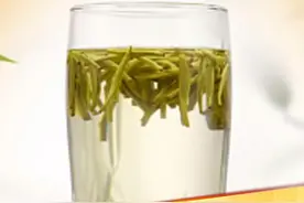 【养发新招！#隔夜绿茶水洗头防脱发】 前一晚泡好的绿茶水，第二天用来洗头，效果更佳！注意！#此隔夜茶非彼隔夜茶  绿茶中的茶多酚与碱类物质能抗衰老、抗菌抗炎，助力防脱。视频封面