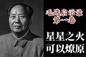 万字解析《星星之火可以燎原》 #一口气看懂哲学家视频封面