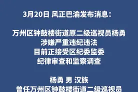 3月20日，风正巴渝发布消息：万州区钟鼓楼街道原二级巡视员杨勇、中国工商银行重庆华凤支行副行长段炼，涉嫌严重违纪违法接受审查调查。#风正巴渝视频封面
