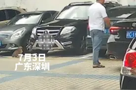 猫咪在同一辆车上，连续两次起跳失误，网友：给家族知道得笑一辈子视频封面