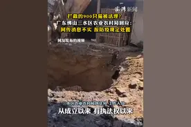 拦截的900只猫被活埋？佛山三水区农业农村局：网传消息不实，按防疫规定处置视频封面