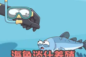 海里太危险了，换个环境试试 #淡化养殖 #海鱼 #轻漫计划 #新农人计划2024 #动画短片视频封面