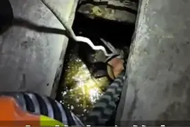 前方高能！这是一条有味道的视频。女子不慎掉入旱厕，消防员设法营救，小时候担心的事还是发生了……视频封面