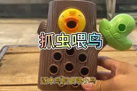会抓虫的啄木鸟抓到虫还可以喂给小鸟 #啄木鸟 #玩具鸟视频封面