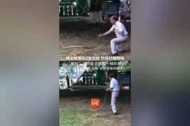 树上掉落近2米大蛇 吓坏打牌阿姨 “硬核”大爷徒手抓蛇一顿抡摔 专家：系黑眉锦蛇 无毒 抡摔容易致蛇死亡视频封面