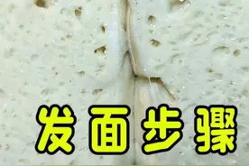 新手发面步骤教学，面点师分享经验，助你快速提高技术视频封面